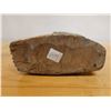 Image 5 : Carved Wooden Sabut Bird Statue Marked C479, 8" x 21"H