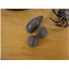 Image 14 : Metal Fish Incense Burner & Round Stained Glass Jar w/ Small Shell & Crab Figurines, Misc Sizes