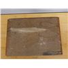Image 4 : Carved & Painted Wooden Elephant Wall Panel 17" x 12"