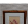 Image 3 : Botanical Artwork, Marked Artist Proof 2/5 Wren w/ Stamp, 13" x 21" Framed & Matted