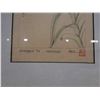 Image 5 : Botanical Artwork, Marked Artist Proof 2/5 Wren w/ Stamp, 13" x 21" Framed & Matted