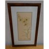 Image 1 : Botanical Artwork Marked Artist Proof 2/5  Wren w/ Stamp, 13" x 21" Framed & Matted