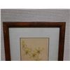 Image 2 : Botanical Artwork Marked Artist Proof 2/5  Wren w/ Stamp, 13" x 21" Framed & Matted