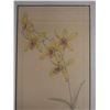 Image 4 : Botanical Artwork Marked Artist Proof 2/5  Wren w/ Stamp, 13" x 21" Framed & Matted