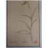 Image 5 : Botanical Artwork Marked Artist Proof 2/5  Wren w/ Stamp, 13" x 21" Framed & Matted