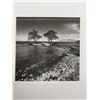 Image 2 : Ocean Scene Photographic Art, Numbered 37/100 by Rick Golt, 16" x 20" Framed