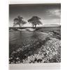 Image 3 : Ocean Scene Photographic Art, Numbered 37/100 by Rick Golt, 16" x 20" Framed