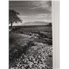 Image 4 : Ocean Scene Photographic Art, Numbered 37/100 by Rick Golt, 16" x 20" Framed