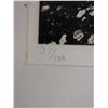 Image 5 : Ocean Scene Photographic Art, Numbered 37/100 by Rick Golt, 16" x 20" Framed