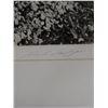 Image 6 : Ocean Scene Photographic Art, Numbered 37/100 by Rick Golt, 16" x 20" Framed
