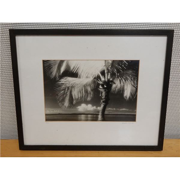 Palm/Kaho'olawe Photographic Art 2/20 by Maui Artist Karen Anna 1996, 21" x 17" Framed & Matted