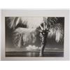 Image 2 : Palm/Kaho'olawe Photographic Art 2/20 by Maui Artist Karen Anna 1996, 21" x 17" Framed & Matted