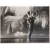 Image 3 : Palm/Kaho'olawe Photographic Art 2/20 by Maui Artist Karen Anna 1996, 21" x 17" Framed & Matted