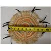 Image 13 : Qty 2 Hand-Woven Fans Approx. 8-9" x 13"L