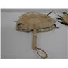 Image 4 : Qty 2 Hand-Woven Fans Approx. 8-9" x 13"L