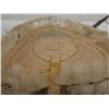 Image 5 : Qty 2 Hand-Woven Fans Approx. 8-9" x 13"L