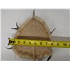 Image 7 : Qty 2 Hand-Woven Fans Approx. 8-9" x 13"L