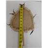 Image 8 : Qty 2 Hand-Woven Fans Approx. 8-9" x 13"L