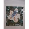 Image 2 : Aloha II Floral Artwork  '85, Framed & Matted 32" x 38"