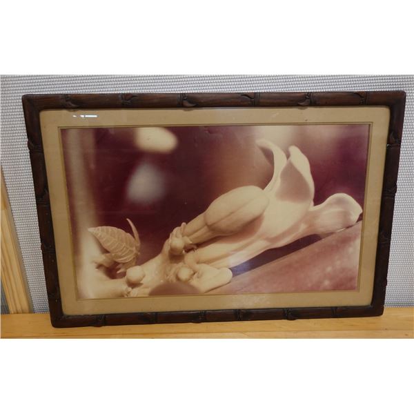 Floral Photographic Image, Framed & Matted 36" x 24"
