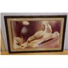 Image 1 : Floral Photographic Image, Framed & Matted 36" x 24"