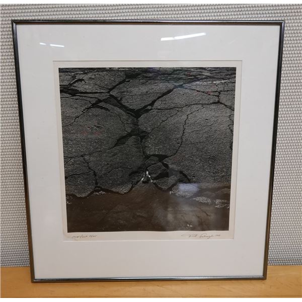 Mano Point Print, Numbered 99/125,  by Frank Salmoiraghi, Framed & Matted 22" x 23"