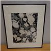 Image 1 : Floral B&W Artwork, Framed & Matted 16" x 19"