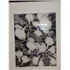 Image 2 : Floral B&W Artwork, Framed & Matted 16" x 19"