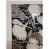 Image 3 : Floral B&W Artwork, Framed & Matted 16" x 19"