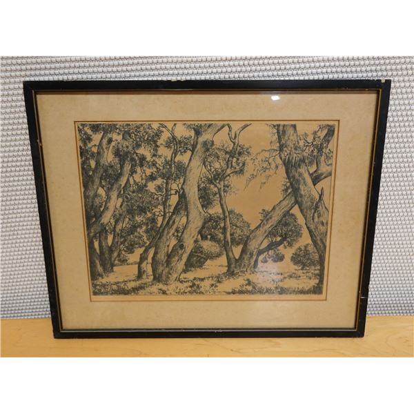 Forest Artwork by Alfred Ray Burrell w/ Bio, Framed & Matted 17" x 14"