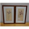 Image 1 : Qty 2 Floral Artwork, Marked Artist Proof 2/5 by Wren w/ Stamp, Wood Framed & Matted 13" x 21"