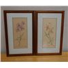 Image 1 : Qty 2 Floral Artwork, Marked Artist Proof 2/5 by Wren w/ Stamp, Wood Framed & Matted 13" x 21"