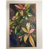 Image 2 : Floral Kopiko Artwork Numbered 2/50 by Artist A. Johnsen w/ COA, Unframed 12.5" x 17.5"