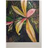 Image 4 : Floral Kopiko Artwork Numbered 2/50 by Artist A. Johnsen w/ COA, Unframed 12.5" x 17.5"