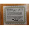Image 7 : Floral Kopiko Artwork Numbered 2/50 by Artist A. Johnsen w/ COA, Unframed 12.5" x 17.5"