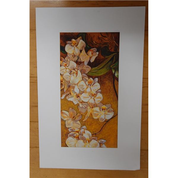 White Orchids Artwork Numbered 2/50 by Artist A. Johnsen w/ COA, Unframed 11" x 17"