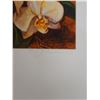 Image 7 : White Orchids Artwork Numbered 2/50 by Artist A. Johnsen w/ COA, Unframed 11" x 17"