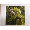 Image 2 : Milo Seeds Artwork Numbered 2/50 by Artist A. Johnsen w/ COA, Unframed 14" x 14"