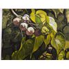 Image 3 : Milo Seeds Artwork Numbered 2/50 by Artist A. Johnsen w/ COA, Unframed 14" x 14"