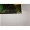 Image 7 : Milo Flower Artwork Numbered 2/50 by Artist A. Johnsen w/ COA, Unframed 14" x 14"