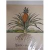 Image 2 : Warts in Paradise Article w/ Pineapple Artwork, Unframed 12" x 16"
