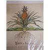 Image 5 : Warts in Paradise Article w/ Pineapple Artwork, Unframed 12" x 16"