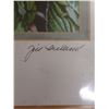 Image 5 : Fafa Male Portrait Artwork by Jill Ireland w/ Bio, Unframed 11" x 14"