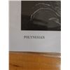 Image 4 : Polynesian Artwork by C. Macintyre Foley, Unframed 9" x 11"