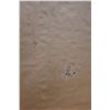 Image 5 : Varaha Avtar Hindu Artwork, Unframed 17.5" x 26"