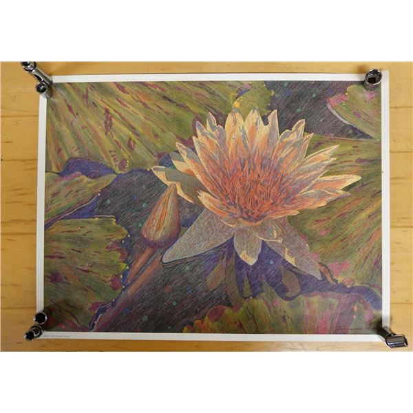 Water Lily Artwork by Russell Lowrey, Unframed 23" x 17.5"