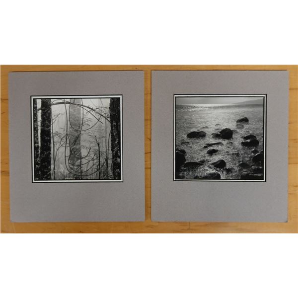 Qty 2 Scenic Photographic Images by Ritch Dean: Soft Pedal & Shimmering Sea, Unframed 9" x 10"