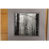 Image 2 : Qty 2 Scenic Photographic Images by Ritch Dean: Soft Pedal & Shimmering Sea, Unframed 9" x 10"