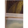 Image 5 : Qty 6 Maori Reproductions Artwork from the Paintings by Gottfried Lindauer, Unframed 9.5" x 11"