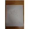 Image 7 : Amakiki Bird Artwork by Artist Ipo Nihipali, Unframed 13" x 16"